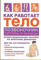 Как работает тело.Позвоночниксуставы и мышцы
