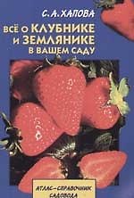 Все о клубнике и землянике в вашем саду