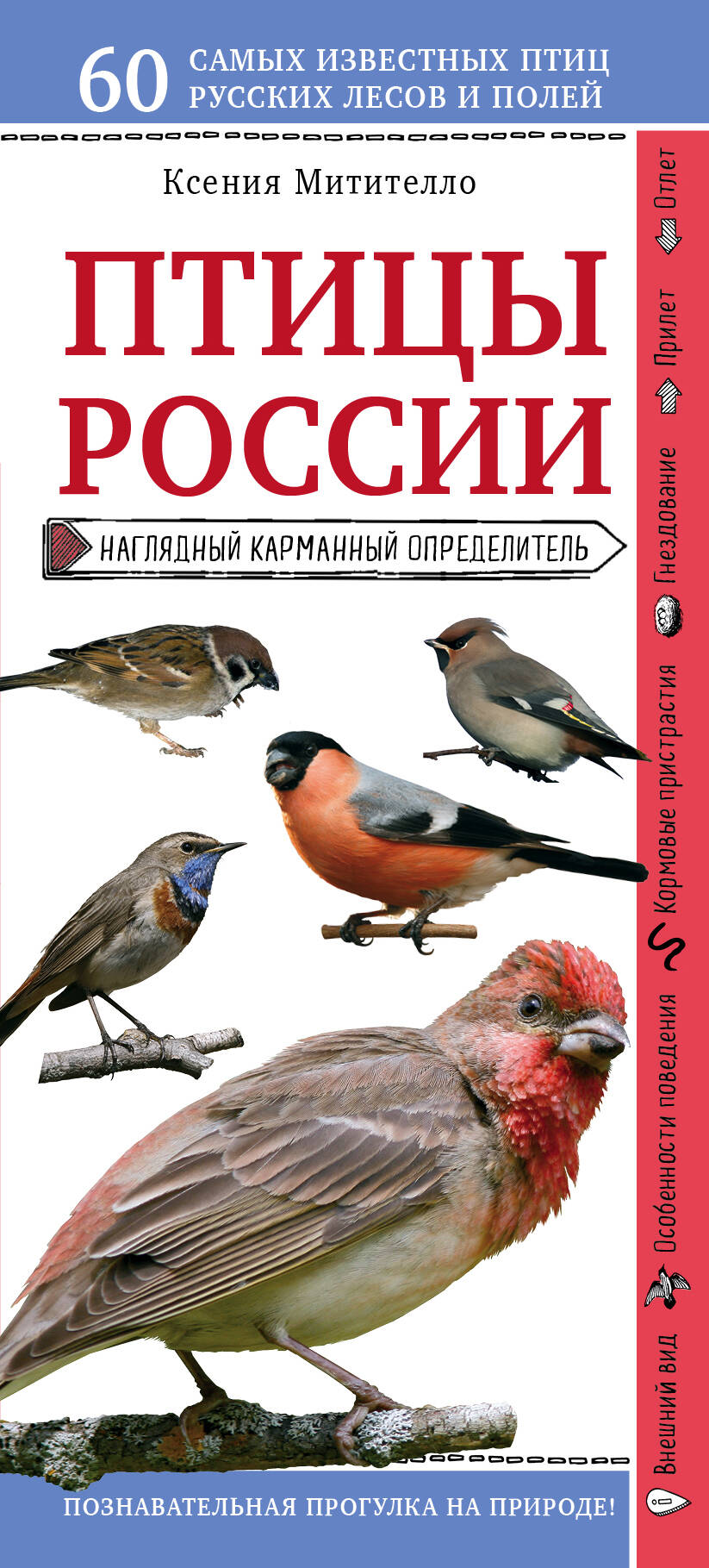Птицы России. Наглядный карманный определитель (для ПР)
Птицы России. Наглядный карманный определитель (для ПР)