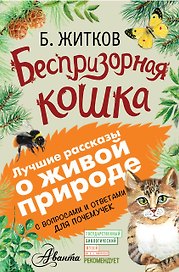 Беспризорная кошка