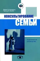 Консультирование семьи Практич. рук-во (2 изд) (м) (Мастер-класс). Грюнвальд Бернис Б. (Юрайт)