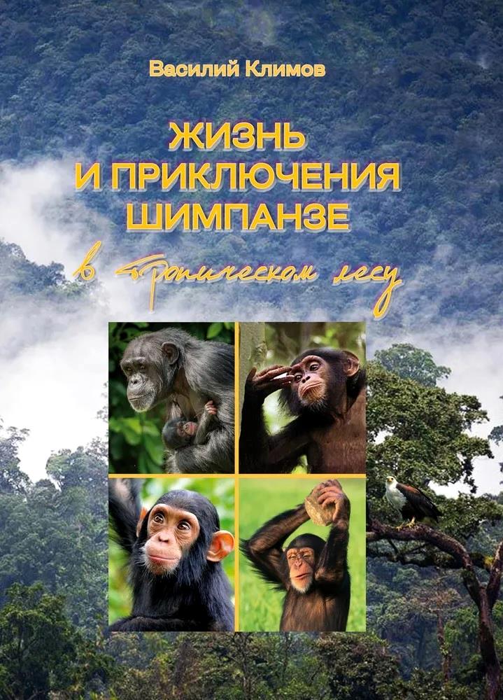 Жизнь и приключения шимпанзе в тропическом лесу
Жизнь и приключения шимпанзе в тропическом лесу