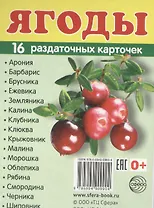 Дем. картинки СУПЕР Ягоды.16 раздаточных карточек с текстом (63х87мм)