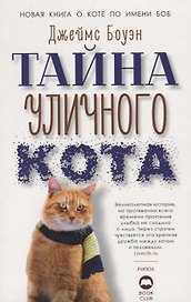 Тайна уличного кота