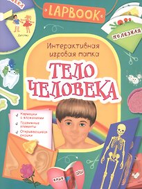 Тело человека