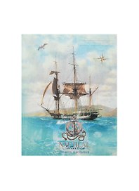 Дневник для ср. и ст.кл. "Морской фрегат" интегр.обл., мат.лам., понтон.печать, Unnika