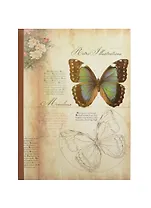 Тетрадь в линейку Феникс+, "Бабочка", 48 листов