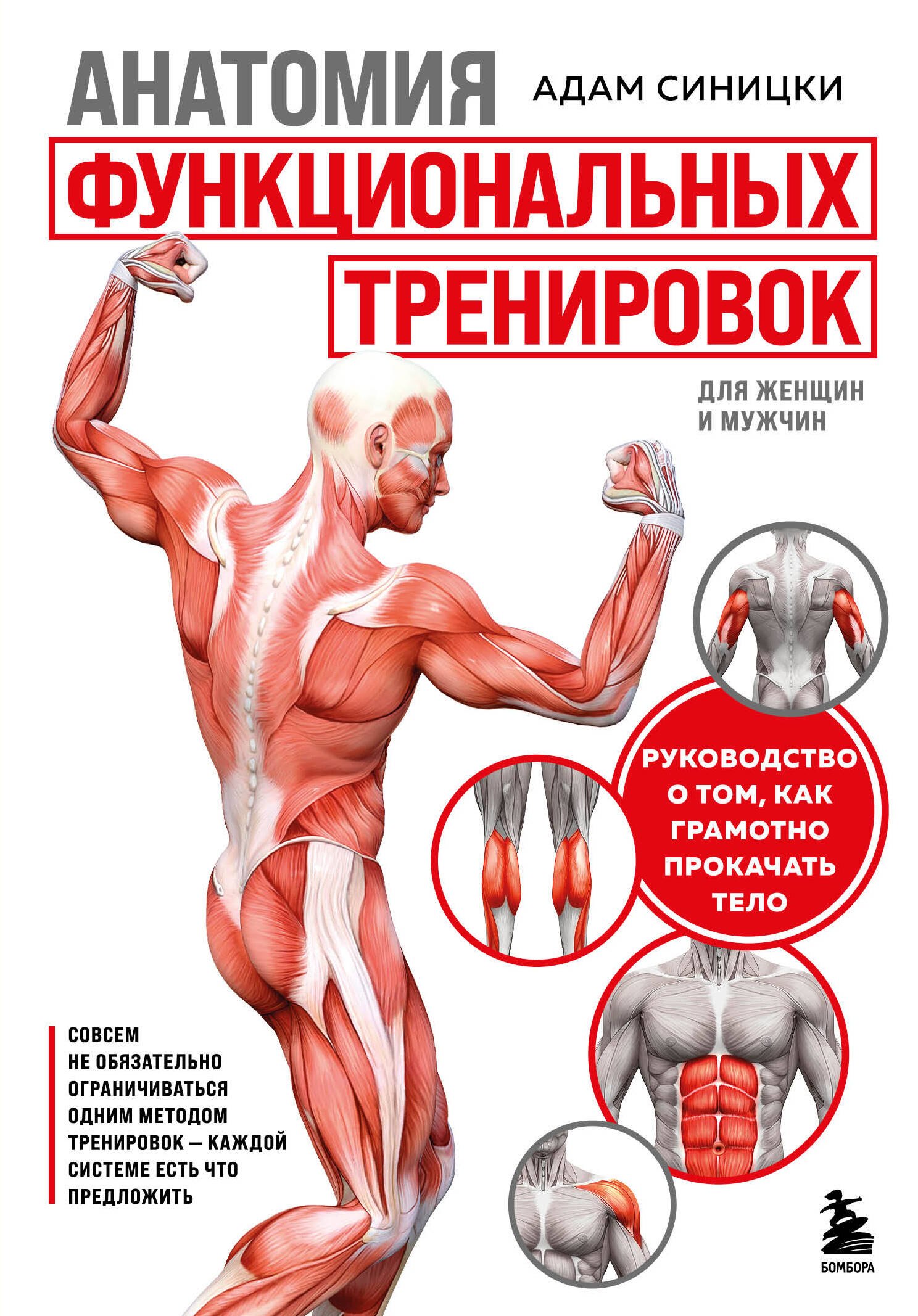 Анатомия функциональных тренировок. Руководство о том, как грамотно прокачать тело
Анатомия функциональных тренировок. Руководство о том, как грамотно прокачать тело