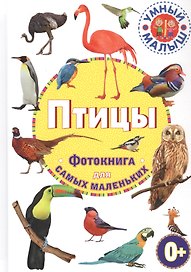 Птицы. Фотокнига для самых маленьких