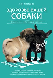 Здоровье вашей собаки