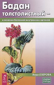 Бадан толстолистный - в лечении болезней внутренних органов