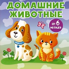 Домашние животные