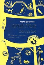Путешествие сквозь тьму. От депресси к обретению шаманской силы.