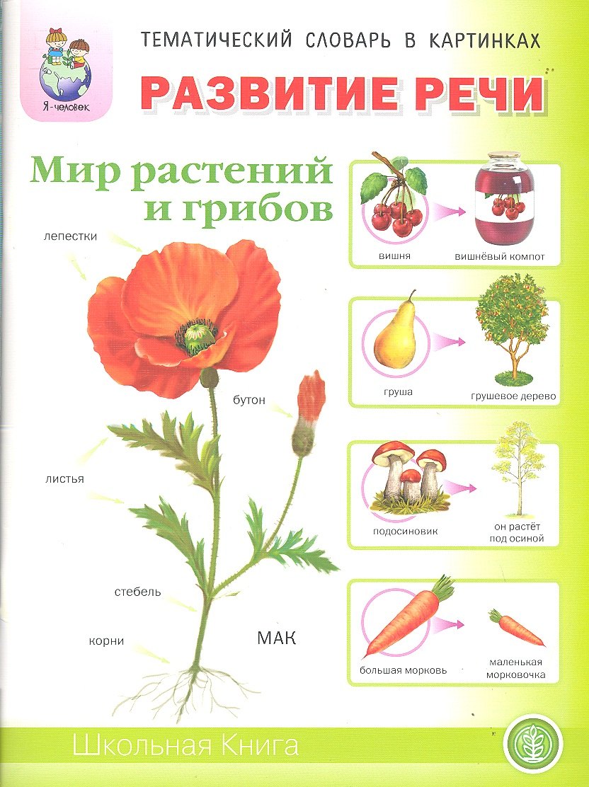 Развитие речи Мир растений и грибов Фрукты Овощи… Тем. словарь в картинках (м) (5-7 л.)
Развитие речи Мир растений и грибов Фрукты Овощи… Тем. словарь в картинках (м) (5-7 л.)