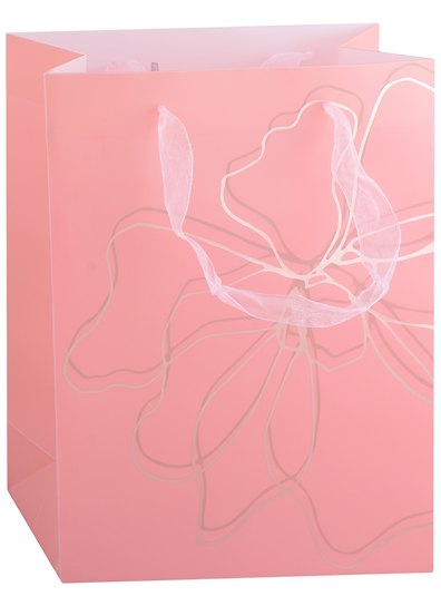 Пакет А5 25*19*8,5 "Pink print" жен., пластик