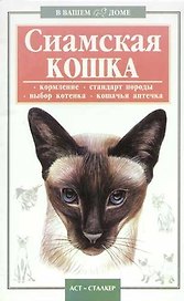 Сиамская кошка