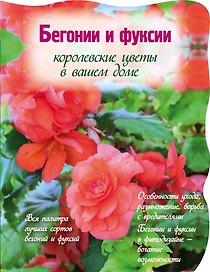 Бегонии и фуксии.Королевсуие цветы в вашем доме