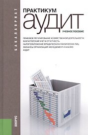 Аудит. Практикум: / 4-е изд., перераб. и доп.