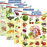 Комплект познавательных мини-плакатов: Домашние животные, животные леса, фрукты и ягоды, овощи