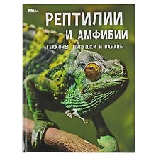 Рептилии и амфибии. Гекконы, лягушки и вараны. Энциклопедия