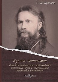 Купина неопалимая. Опыт догматического истолкования некоторых черт в православном почитании Богоматери