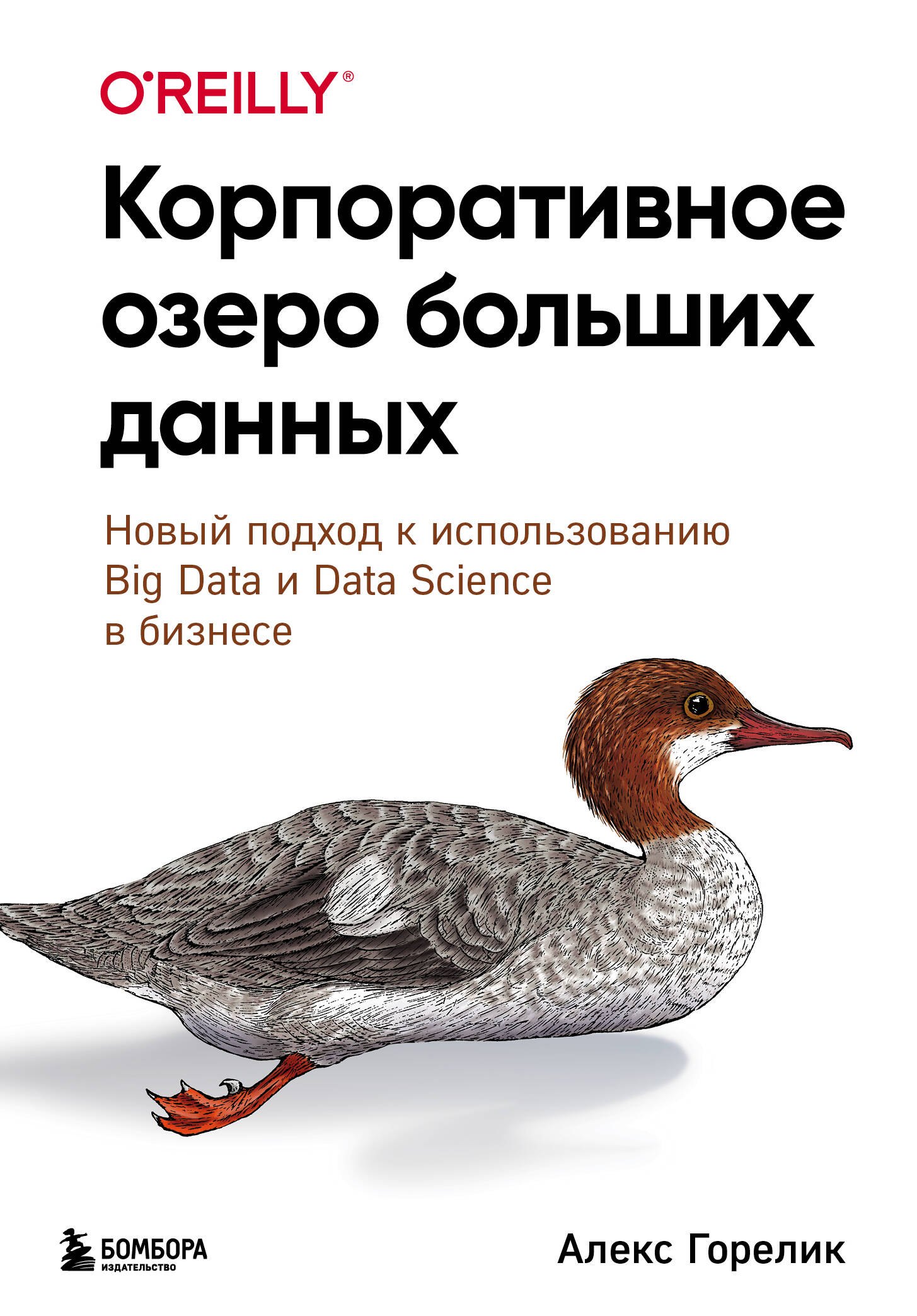 Корпоративное озеро больших данных. Новый подход к использованию Big Data и Data Science в бизнесе
Корпоративное озеро больших данных. Новый подход к использованию Big Data и Data Science в бизнесе