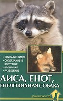 Лиса, енот, енотовидная собака. Описание видов. Содерж в зооуголке