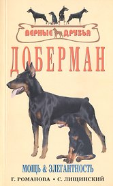 Доберман. Мощь и элегантность.