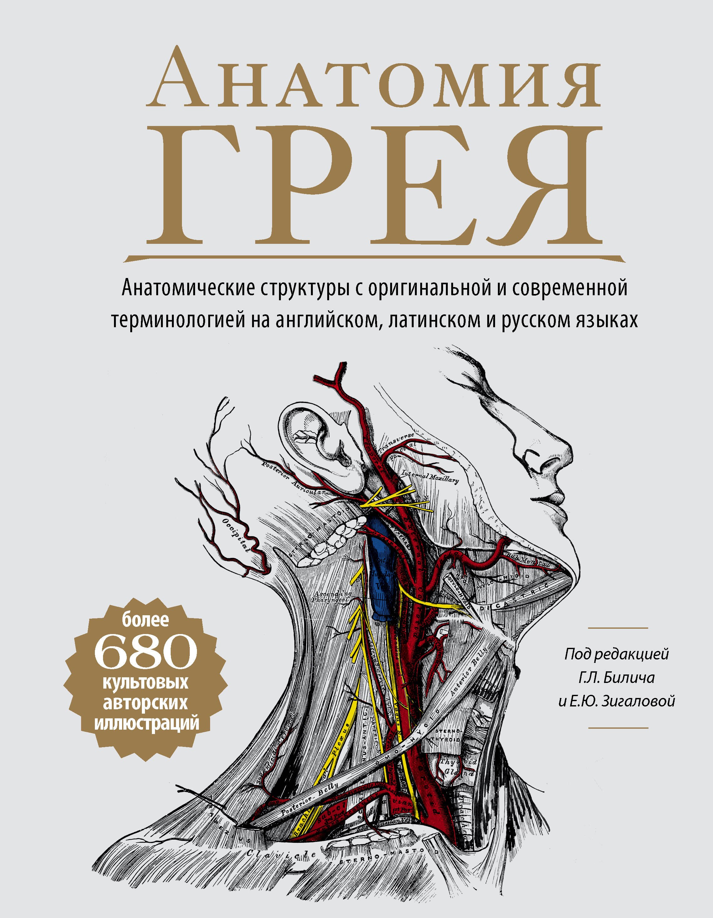 Анатомия Грея. Анатомические структуры с оригинальной и современной терминологией на английском, латинском и русском языках
Анатомия Грея. Анатомические структуры с оригинальной и современной терминологией на английском, латинском и русском языках