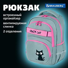 Рюкзак школьный для девочек "Crazy cat" 41*28*17см, 2 отделения, 3 кармана, с карманом для ноутбука, Brauberg