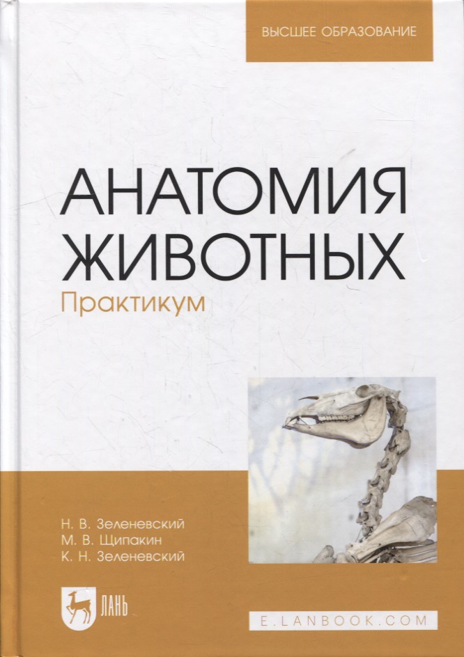 Анатомия животных. Практикум: учебное пособие для вузов
Анатомия животных. Практикум: учебное пособие для вузов