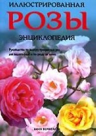 Розы
