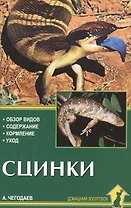 Аквар.Сцинки
