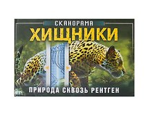 Хищник