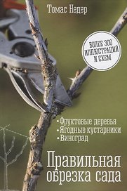Правильная обрезка сада. Фруктовые деревья, ягодные кустарники, виноград