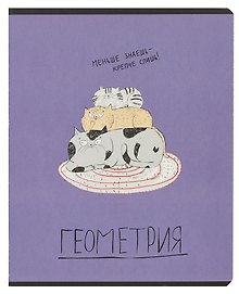 Тетрадь предметная «Любознательные коты. Геометрия» 48 листов в клетку, со справочными материалами - Феникс+