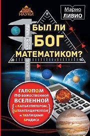 Был ли Бог математиком? Галопом по божественной Вселенной с калькулятором, штанге