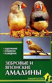 Зебровые и японские амадины. Содержание. Кормление. Разведение