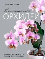 Великолепные орхидеи. Практичное руководство по уходу для начинающих