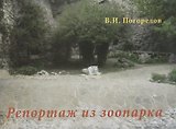 Репортаж из зоопарка
