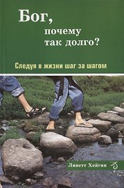 Бог, почему так долго? Следуя в жизни шаг за шагом.