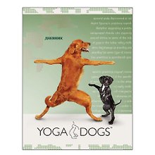 Дневник для средних и старших классов Академия Групп, Yoga Dogs