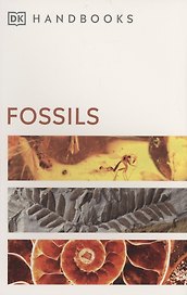 Fossils