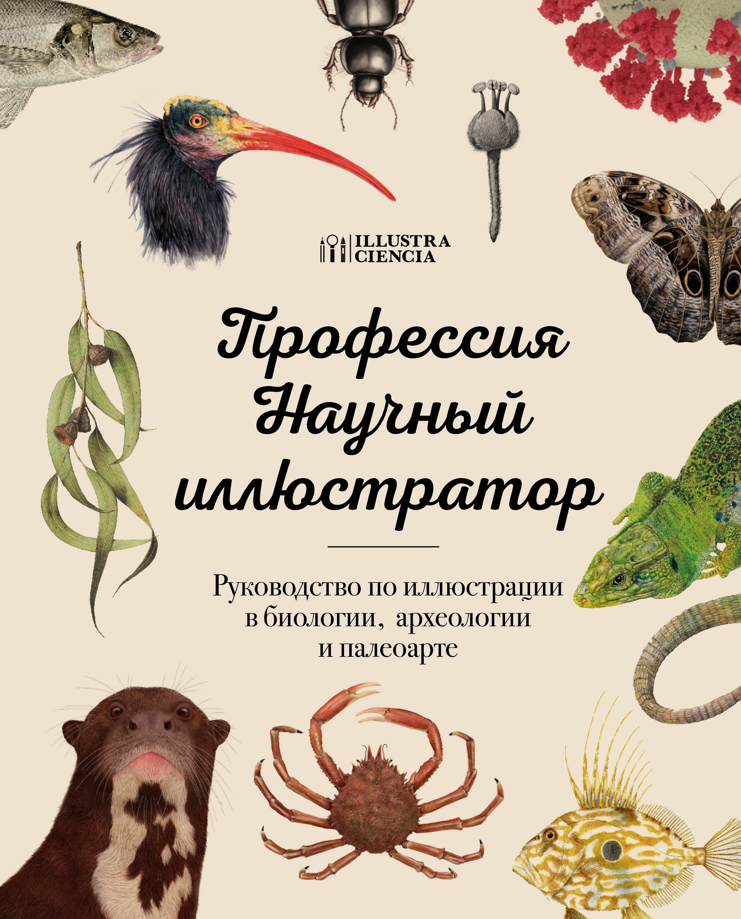 Профессия — Научный иллюстратор. Руководство по иллюстрации в биологии, археологии и палеоарте
Профессия — Научный иллюстратор. Руководство по иллюстрации в биологии, археологии и палеоарте