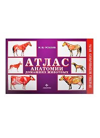 Атлас анатомии домашних животных (цвет.)