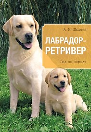 Лабрадор. Ретривер