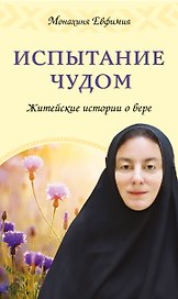 Испытание чудом. Житейские истории о вере