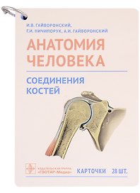 Анатомия человека. Соединения костей. Карточки: наглядное учебное пособие (28 двусторонних карточек)