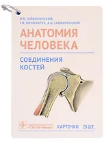 Анатомия человека. Соединения костей. Карточки: наглядное учебное пособие (28 двусторонних карточек)