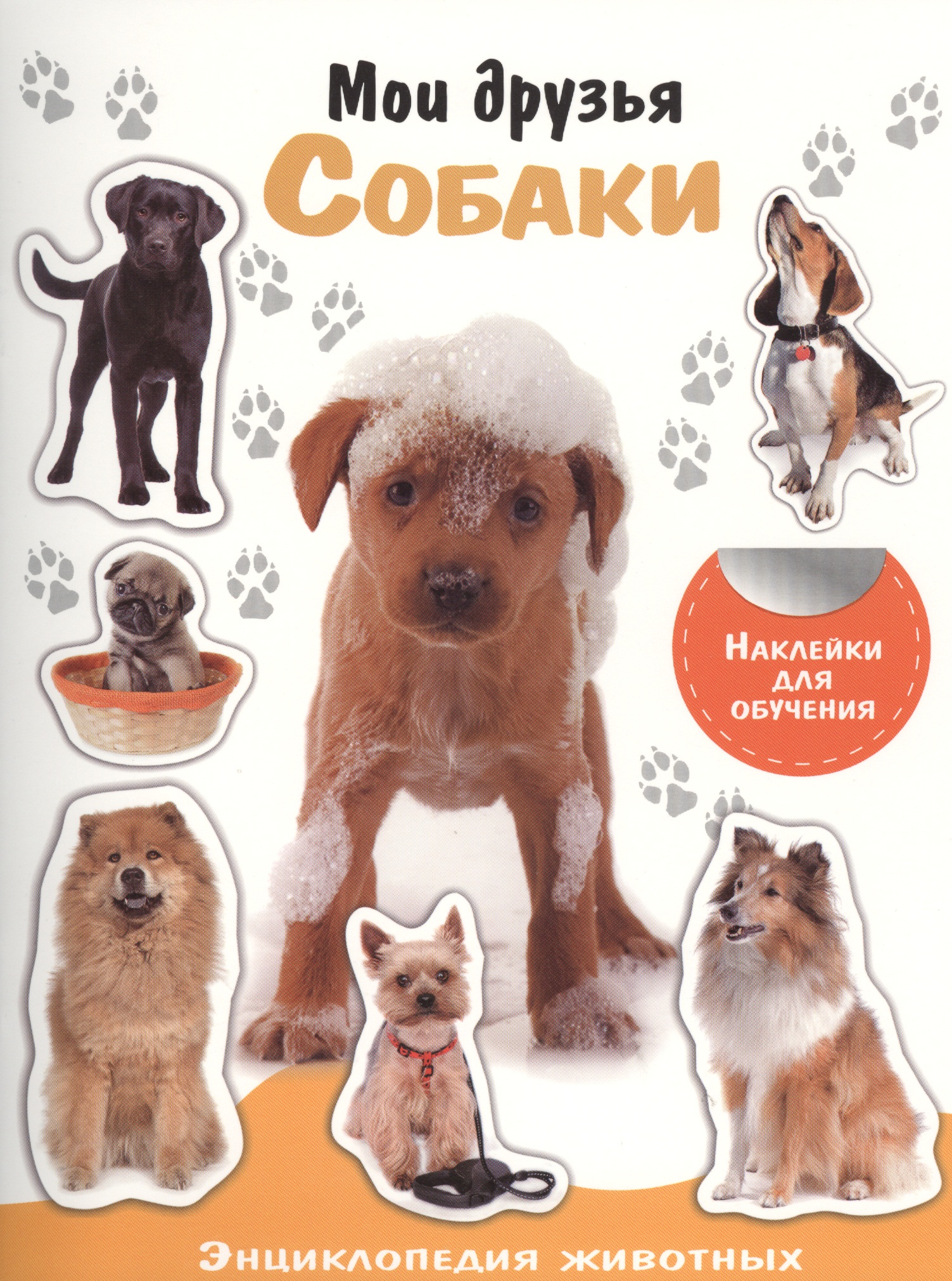 Энциклопедия животных с накл. Мои друзья - собаки
Энциклопедия животных с накл. Мои друзья - собаки